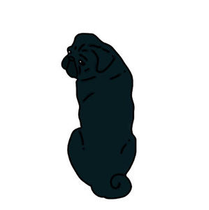 Meet your Posher, Chubbz